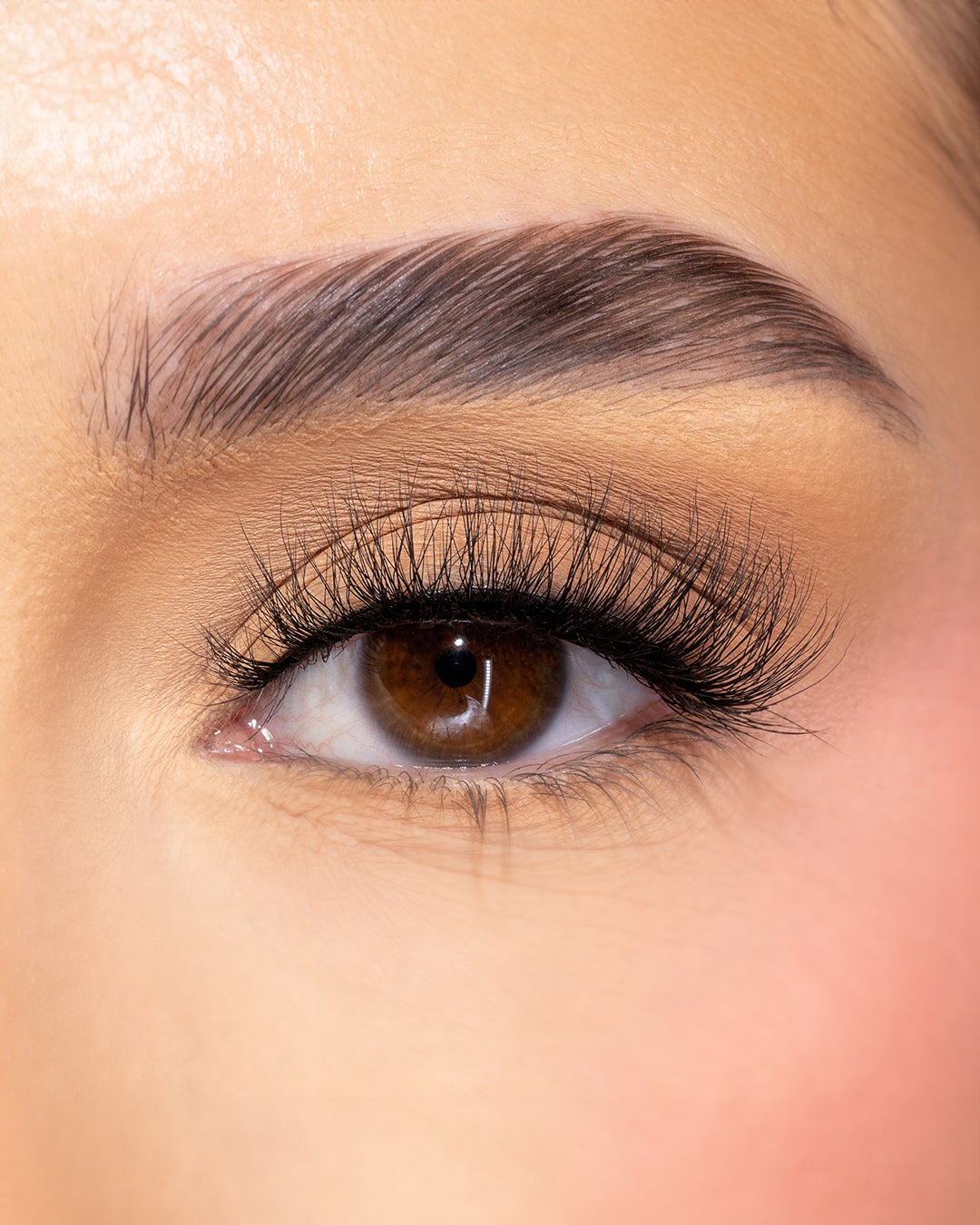 FL1 Lashes