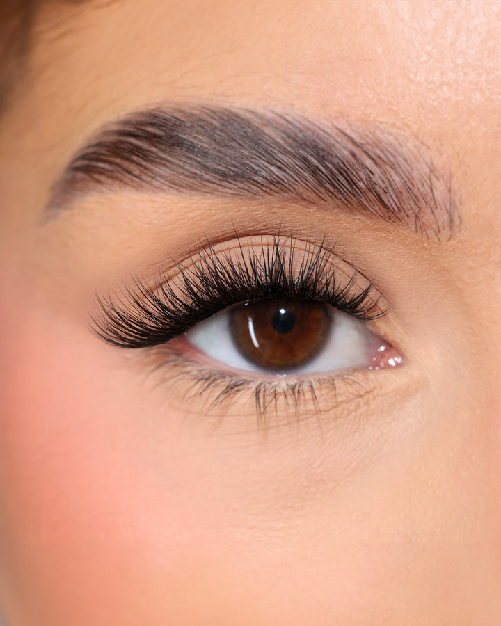 Individual Lashes IL1